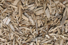 biomass boilers Tregatillian