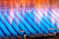 Tregatillian gas fired boilers